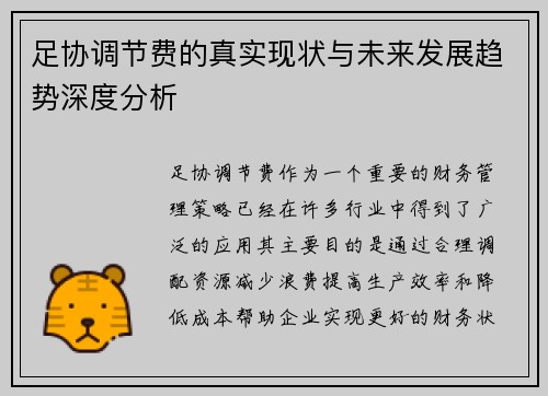足协调节费的真实现状与未来发展趋势深度分析